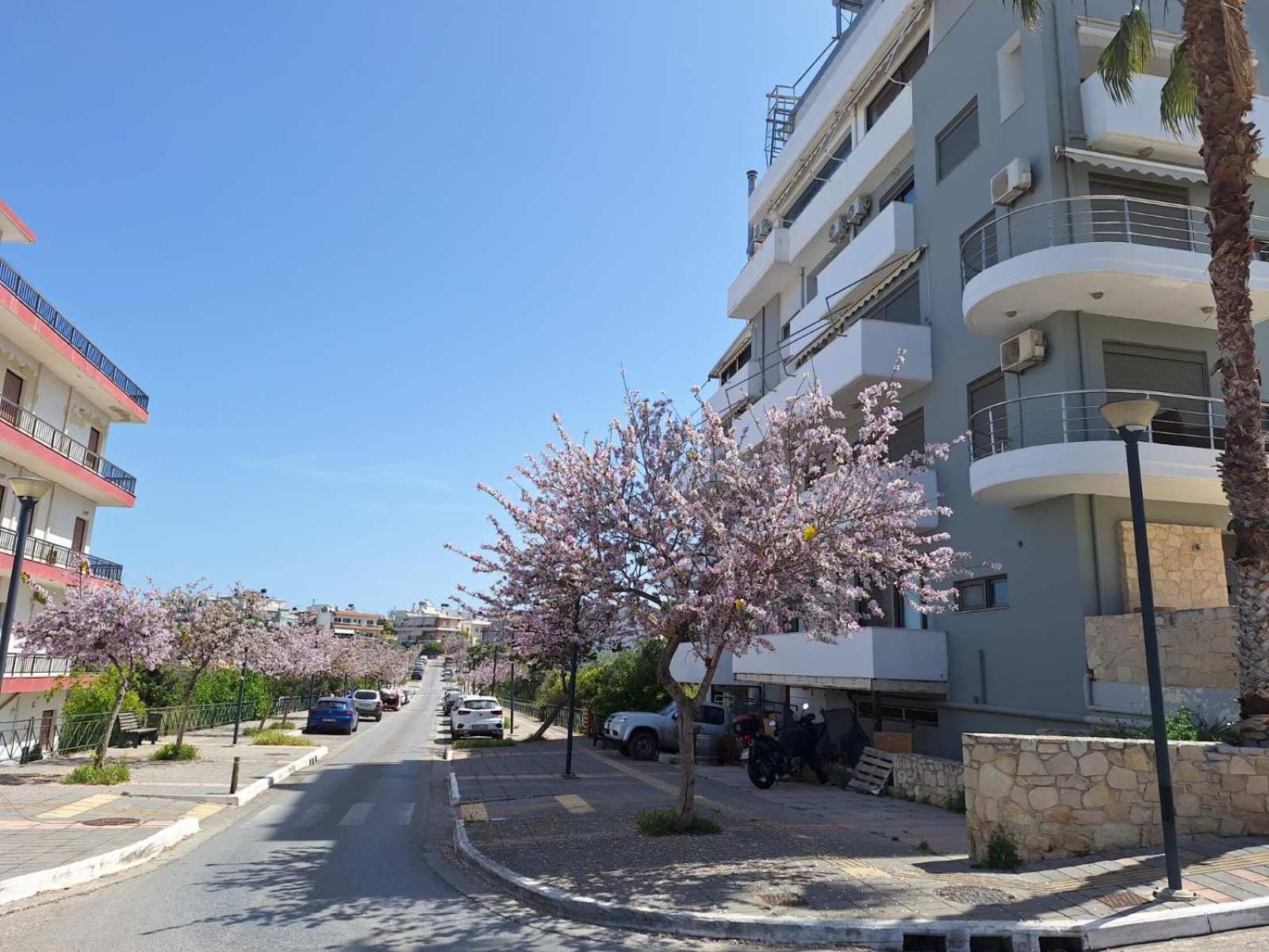 Iriana'S Apartments In Center Ханя Екстериор снимка